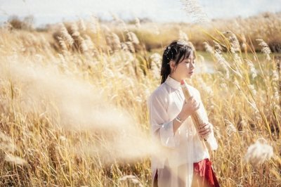 ​忍冬、半夏、鸢尾、灵仙，盘点好听的植物名，收藏起来写作或取名