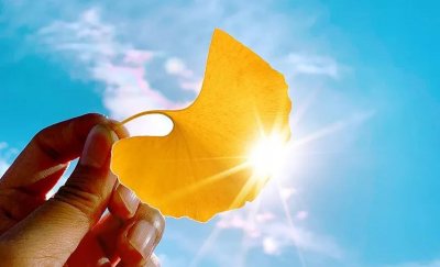 ​筚路蓝缕启山林，栉风沐雨砥砺行