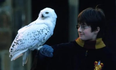 ​全球票房破10亿美元的《哈利波特与魔法石》讲述了什么内容？