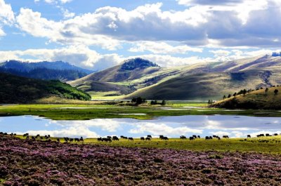 ​视觉盛宴 | 凉山图鉴（自然风光），每一张都美哭了！