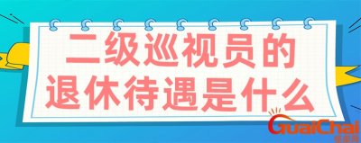 ​二级巡视员是什么级别干部？二级巡视员是什么级别待遇