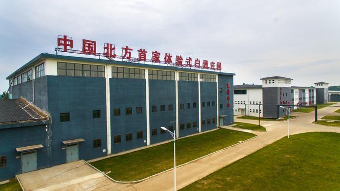 榆树钱窖藏壹号获得国际烈酒金奖