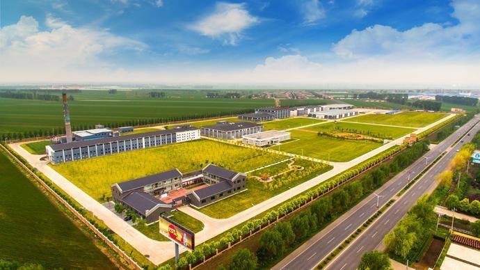 榆树钱窖藏壹号获得国际烈酒金奖