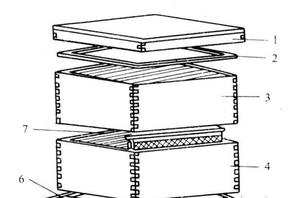 国宝蜂箱尺寸,十框标准蜂箱的结构和尺寸是怎样的呢图1