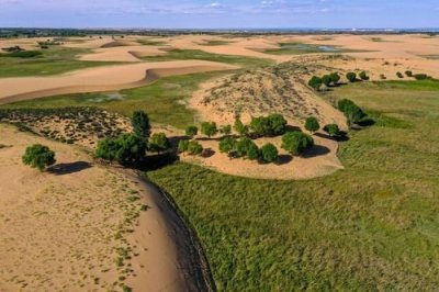 ​毛乌素沙地治理一线报告：久久为功迈向生态文明