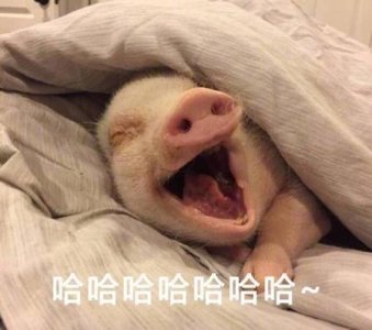 ​李晨空天猎最终票房(范冰冰走戛纳红毯)