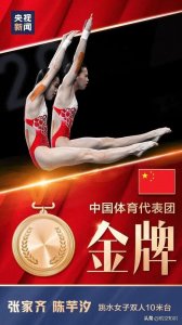 ​航空词汇知多少——俯冲