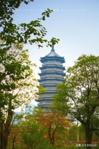 ​南宁地价最贵的楼盘居然放话：在五象，它没有对手