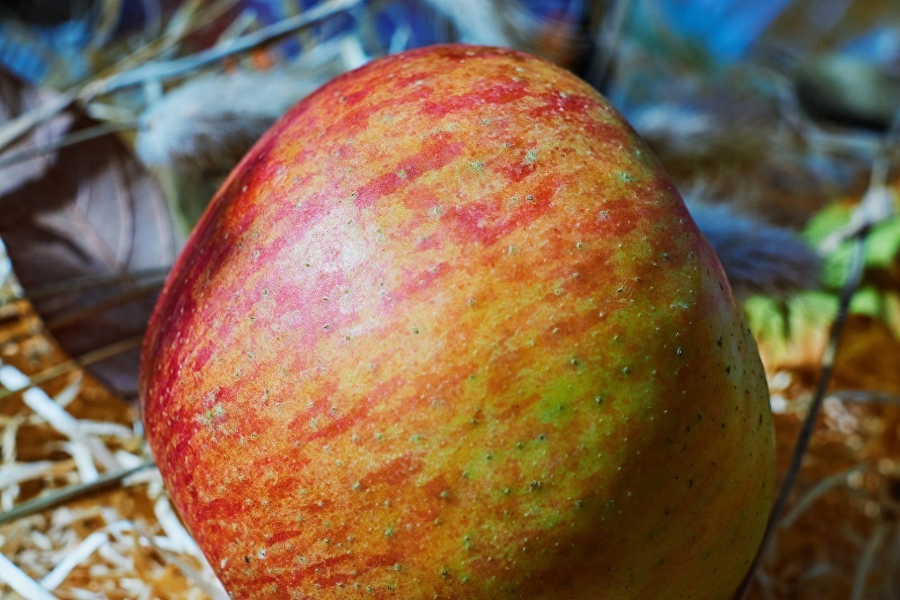 盐源苹果，四川省盐源县特产，中国国家地理标志产品。盐源苹果皮