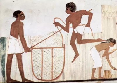 ​科普 | 男士内裤最早源于果壳？男生到底要怎样选择内裤？