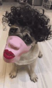 ​盘点20张让人笑出腹肌的搞笑图片，你不笑算我输