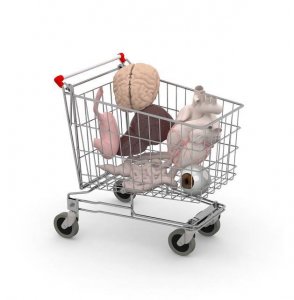 ​不出国在家工作也能把你骗出国，在找工作的你，小心柬埔寨新骗局