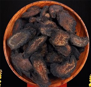 ​肉苁蓉—原植物及饮片高清图鉴