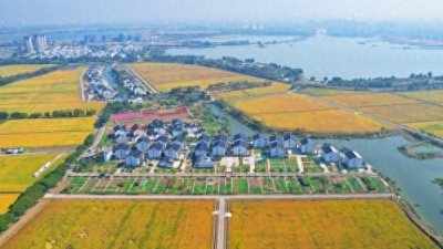 ​昆山巴城：以“千万工程”经验绘就乡村振兴新画卷