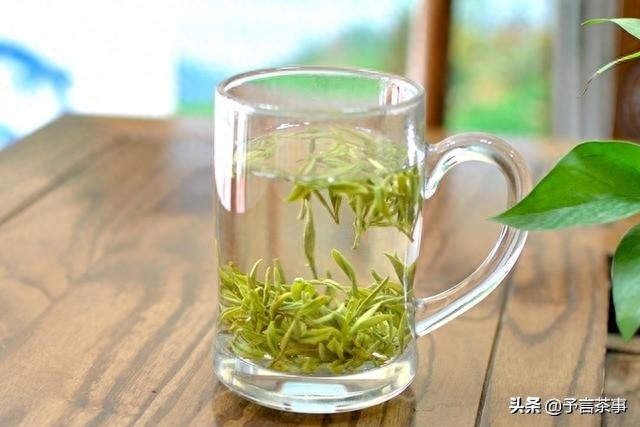 岳西翠兰怎么样？你喝过吗？本地老茶农：别喝，喝了就是一辈子！