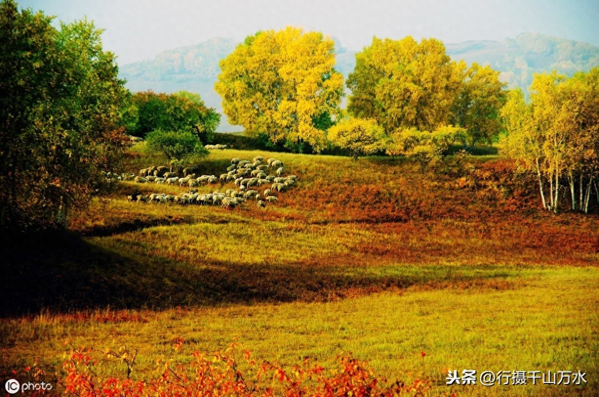 秋日落叶美图欣赏