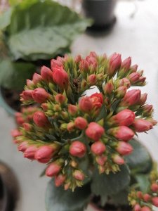 ​聪明女人，会用这6个“小套路”，让男人主动倒追你