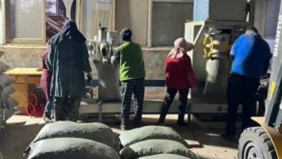 ​两个农村商机，年赚二十万不再是梦想！