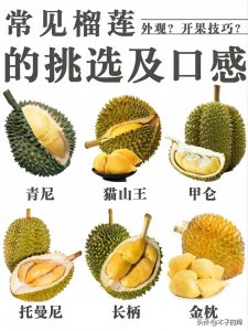 ​一文弄清如何挑榴莲