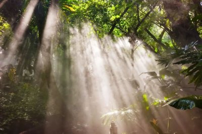 ​春天到了！和我一起去看看厦门植物园的那些巴士吧