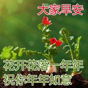 ​问候早上好精美图片合集 清晨最美早安祝福暖心图片