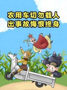 ​交通宣传丨道路交通安全知识科普