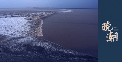 ​瞄影评 | 《好东西》：在边缘角落点缀元气淋漓的生活