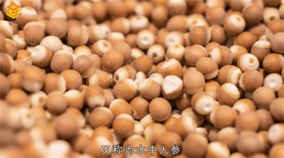 ​苏州鸡头米是什么「奶茶里的鸡头米是什么」