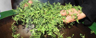 ​茶叶分哪些类 茶叶分为哪些种类