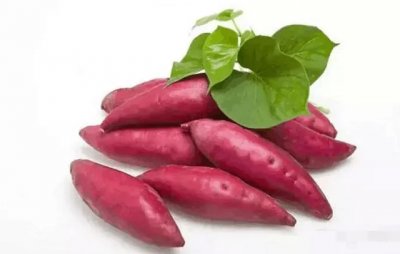 ​抗癌食物排名前十（抗癌食物有哪些食物）