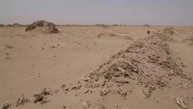 长城文化遗产介绍六个部分(北京文博关于长城)(7)