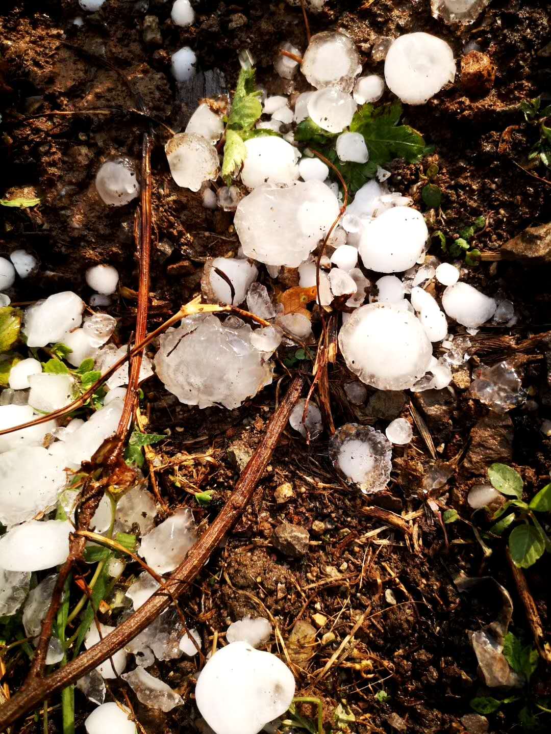 突然下冰雹是什么征兆(突然下冰雹是不是有灾难)