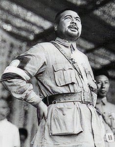 ​蒋介石的“十大元帅”：纸上雄师，梦碎台湾