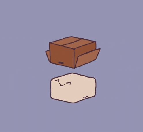 日本ins超人气猫咪（网红沙雕猫成表情包新宠）(14)