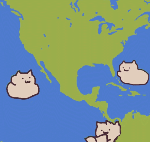 日本ins超人气猫咪（网红沙雕猫成表情包新宠）(4)