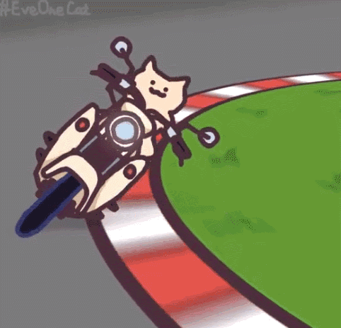 日本ins超人气猫咪（网红沙雕猫成表情包新宠）(10)