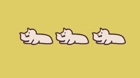 日本ins超人气猫咪（网红沙雕猫成表情包新宠）(53)