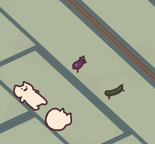 日本ins超人气猫咪（网红沙雕猫成表情包新宠）(18)