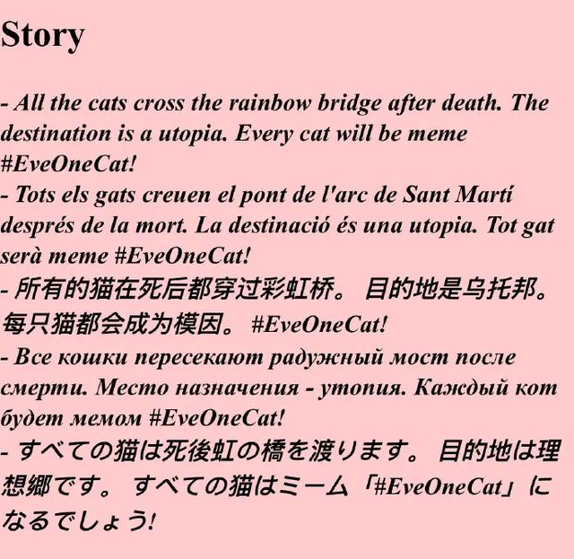 日本ins超人气猫咪（网红沙雕猫成表情包新宠）(38)