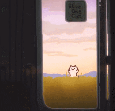 日本ins超人气猫咪（网红沙雕猫成表情包新宠）(5)