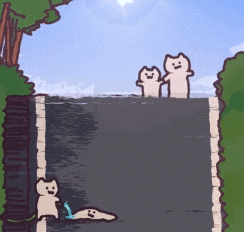 日本ins超人气猫咪（网红沙雕猫成表情包新宠）(15)