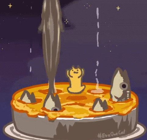 日本ins超人气猫咪（网红沙雕猫成表情包新宠）(11)