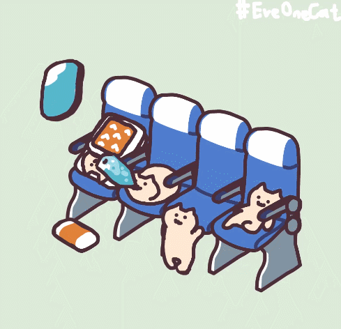 日本ins超人气猫咪（网红沙雕猫成表情包新宠）(32)