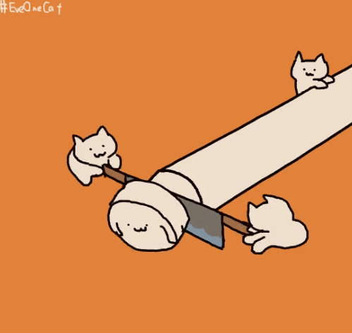 日本ins超人气猫咪（网红沙雕猫成表情包新宠）(13)