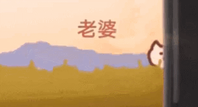 日本ins超人气猫咪（网红沙雕猫成表情包新宠）(43)