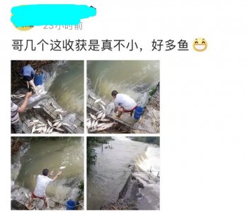 ​湖南老乡晒“拦河捞鱼”画面，却招来网友吐槽：要把鱼捞绝？