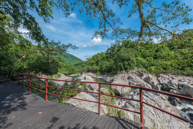 呀诺达雨林文化旅游区官网（海南呀诺达这片未开发的热带雨林）(3)