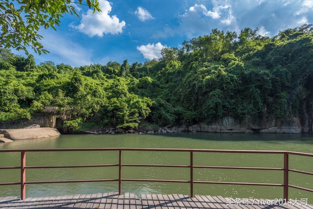呀诺达雨林文化旅游区官网（海南呀诺达这片未开发的热带雨林）(13)