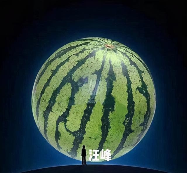 汪峰效应娱乐圈的预言家（汪峰效应到底是什么梗）