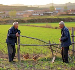 ​热点解读：王维《渭川田家》为何成为田园诗的巅峰之作？